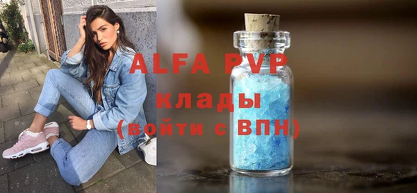 стаф Осташков