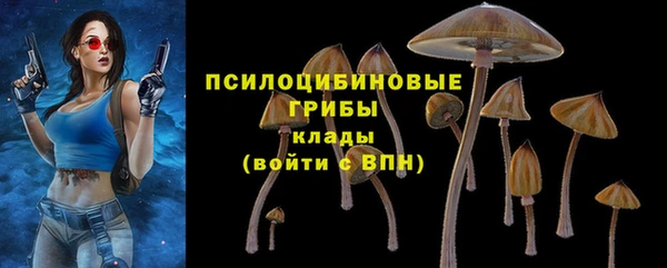 ПСИЛОЦИБИНОВЫЕ ГРИБЫ Вязники