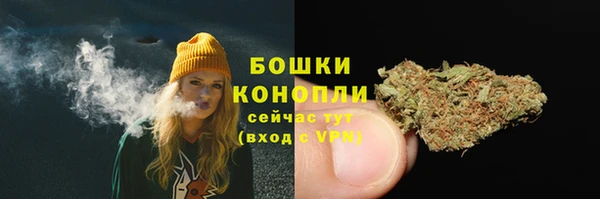 крисы Осинники