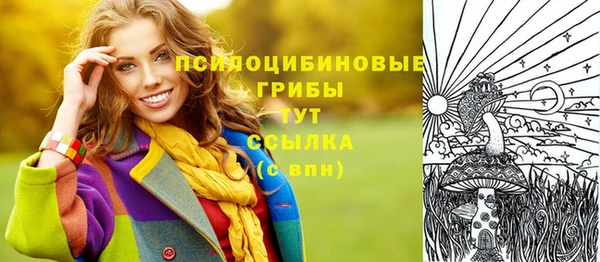 крисы Осинники