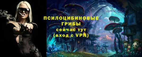 спиды Переславль-Залесский