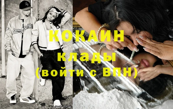 крисы Осинники